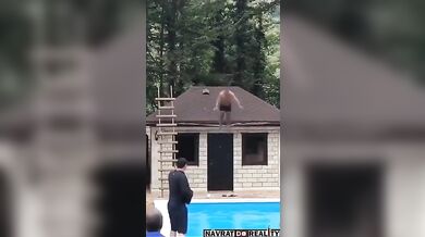 Bolestivý skok do bazénu