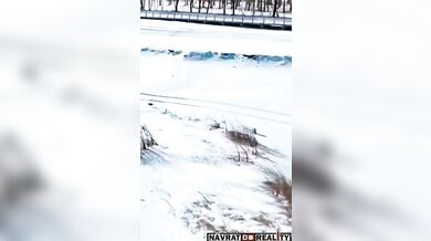 Psi honící zajíce