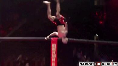 Radost z vítězství