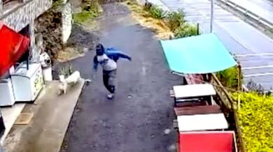 Sesuv skalního masivu