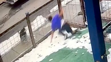 Útěk před agresivním psem