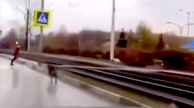 Střet psa s člověkem