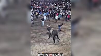 Drsný střet s býkem