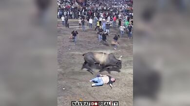 Drsný střet s býkem