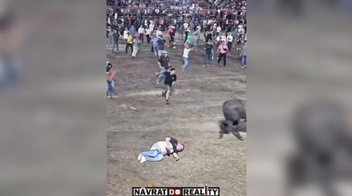 Drsný střet s býkem