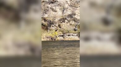 Nehoda traktoru skončila pádem do řeky bez zranění