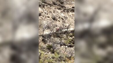 Nehoda traktoru skončila pádem do řeky bez zranění