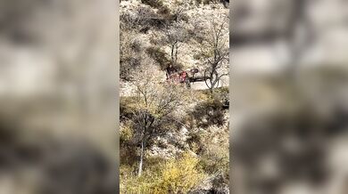 Nehoda traktoru skončila pádem do řeky bez zranění