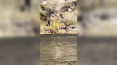 Nehoda traktoru skončila pádem do řeky bez zranění