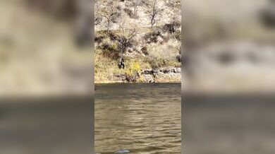 Nehoda traktoru skončila pádem do řeky bez zranění