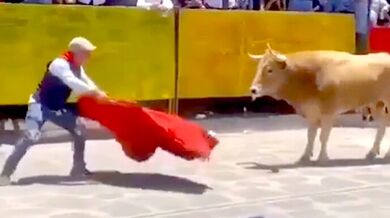 Překvapení pro toreadora