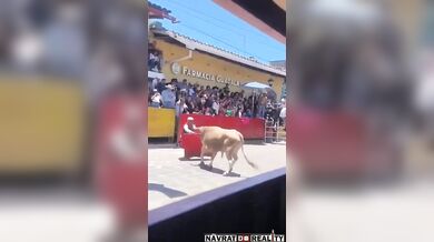 Překvapení pro toreadora