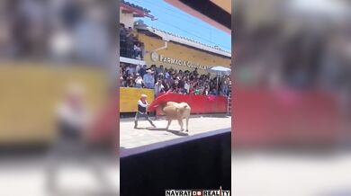 Překvapení pro toreadora