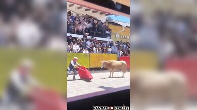 Překvapení pro toreadora