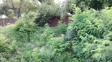 Hledám sex na jednu noc s místním singlem z okolí