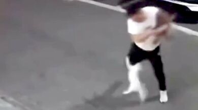 Setkání s agresivní kočkou