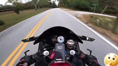 Střet motorkáře se zvířetem