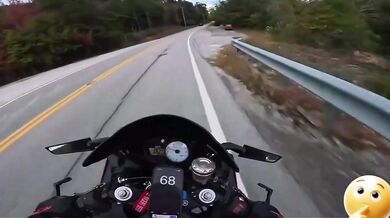 Střet motorkáře se zvířetem