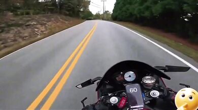 Střet motorkáře se zvířetem