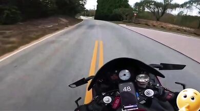 Střet motorkáře se zvířetem