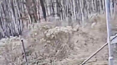 Opilá řidička s dítětem v autě a telefonem v ruce způsobila vážnou nehodu