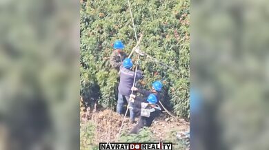 Nebezpečná situace v práci