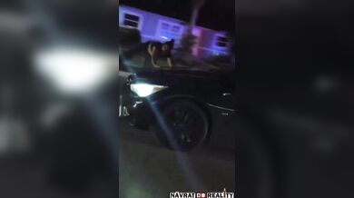 Žena sražená během automobilové honičky