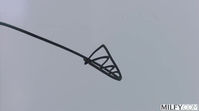 Lani Rails a její nezapomenutelná lekce v kanceláři kde si ji podali dva urostlí černoši naráz