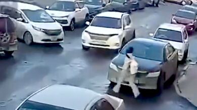 Zmatkující žena za volantem