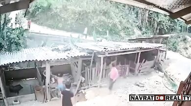 Ztráta kontroly na skútrem skončila pádem do vepřína