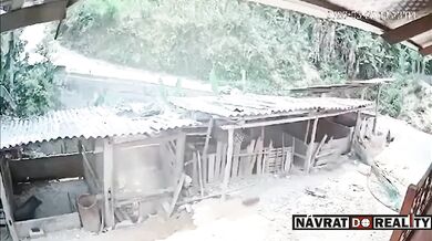 Ztráta kontroly na skútrem skončila pádem do vepřína