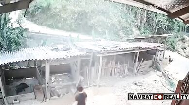 Ztráta kontroly na skútrem skončila pádem do vepřína