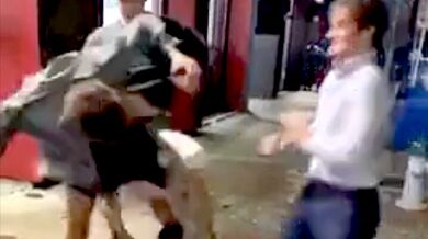 Neférová pouliční rvačka