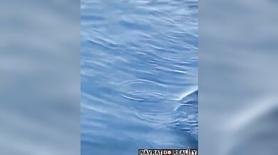 Stylový pád na lodi