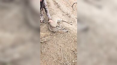 Záchrana v texaské divočině: Lovec oživil jelena pomocí první pomoci