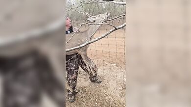 Záchrana v texaské divočině: Lovec oživil jelena pomocí první pomoci