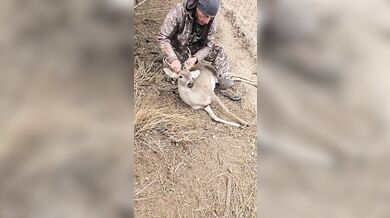 Záchrana v texaské divočině: Lovec oživil jelena pomocí první pomoci