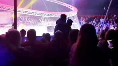 Panika v ruském cirkuse: Tygr přeskočil poničenou bezpečnostní síť a vnikl mezi diváky