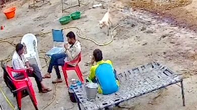 Napadení agresivním psem