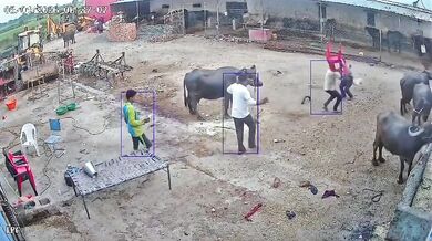 Napadení agresivním psem