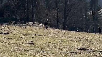 Trik na kapra