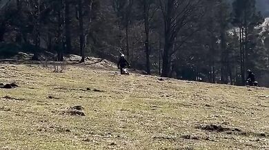 Trik na kapra