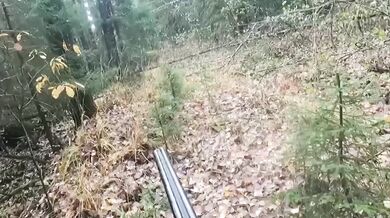 Střet lovce s medvědicí v Rusku: Zachování chladné hlavy zabránilo krveprolití