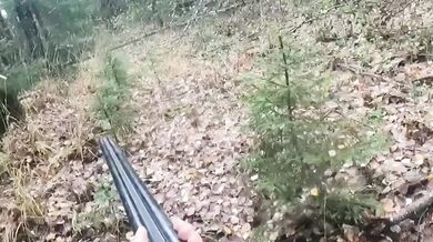 Střet lovce s medvědicí v Rusku: Zachování chladné hlavy zabránilo krveprolití
