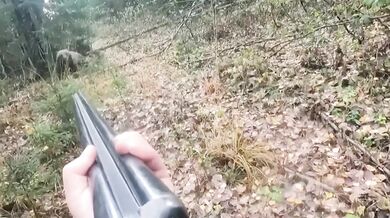 Střet lovce s medvědicí v Rusku: Zachování chladné hlavy zabránilo krveprolití