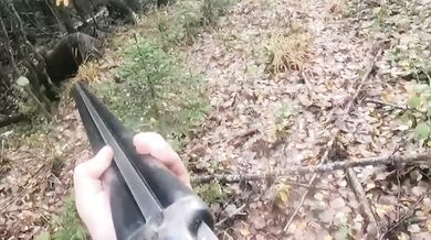 Střet lovce s medvědicí v Rusku: Zachování chladné hlavy zabránilo krveprolití