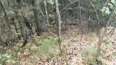 Střet lovce s medvědicí v Rusku: Zachování chladné hlavy zabránilo krveprolití