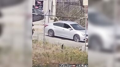 Rychle ukončený pouliční konflikt