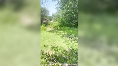 Amatérský postup dělníků zničil dům pětašedesátiletého muže, který kvůli zřícení kmene přišel o všechno