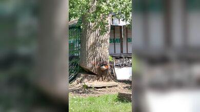 Amatérský postup dělníků zničil dům pětašedesátiletého muže, který kvůli zřícení kmene přišel o všechno